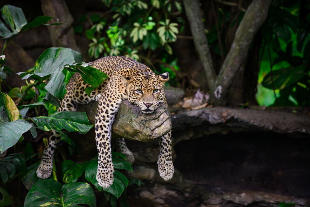 何かしたいけど 何もする気がしない時の処方箋 何もしない をすればいい おひとりさまの処世術